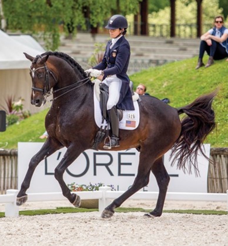 The-world-of-Dressage